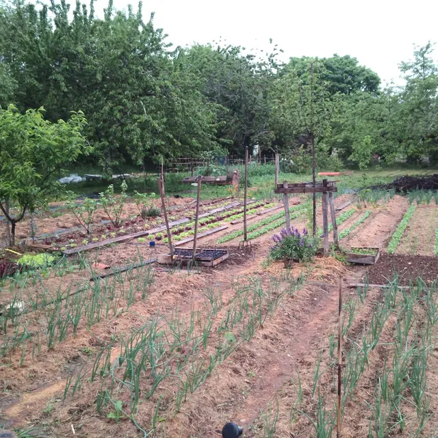 Ferme de Labaurie