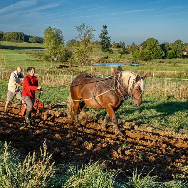 Ferme de Tourenne web-3