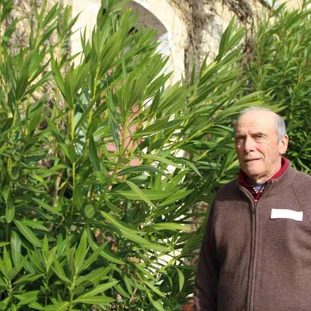 François Arribehaute - Lahosse (3)