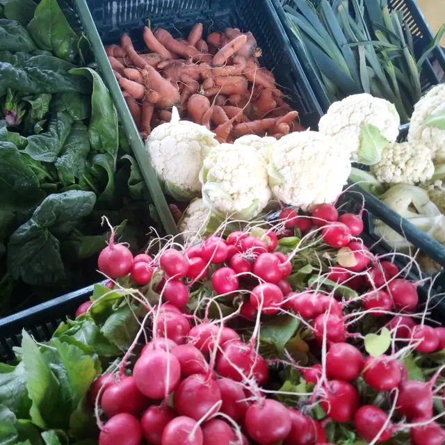 Légumes