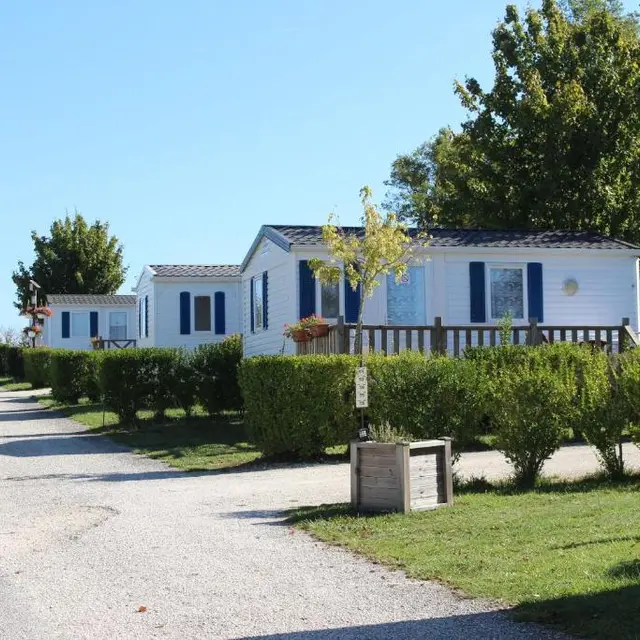 IMG-4392---Copie