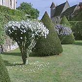 Issac - Jardins du Château de Montréal