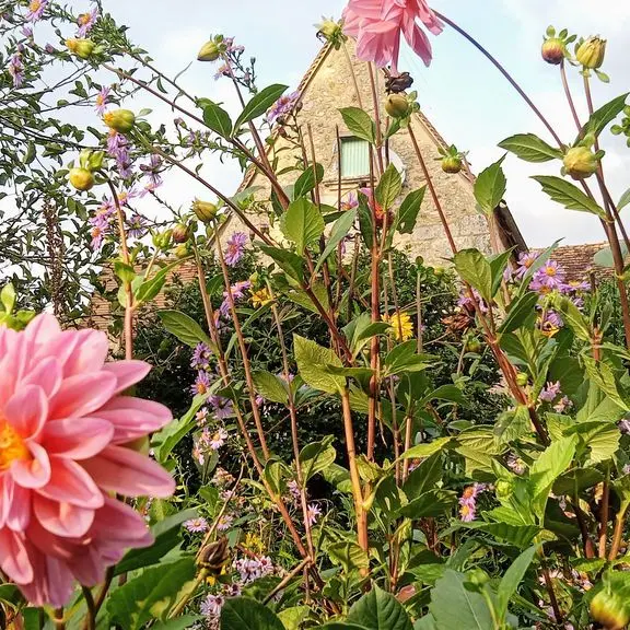 Jardin-Fleurs-Lamonzie-Montastruc