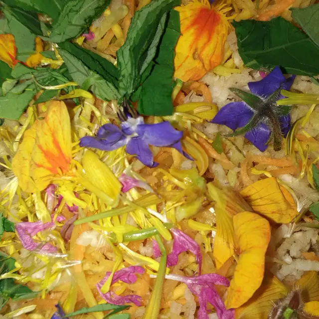 Jardin-bio-St-Martin-fleurs