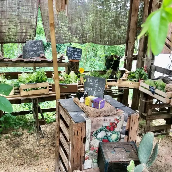 Jardin-des-Merveilles-1