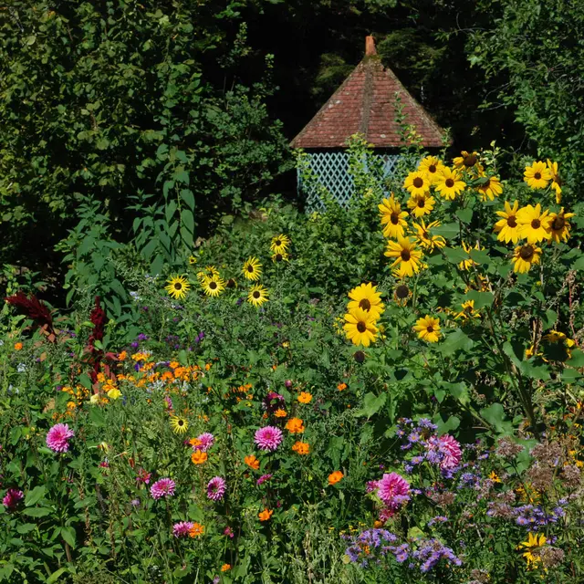 Jardins de l'Albarède     (1)