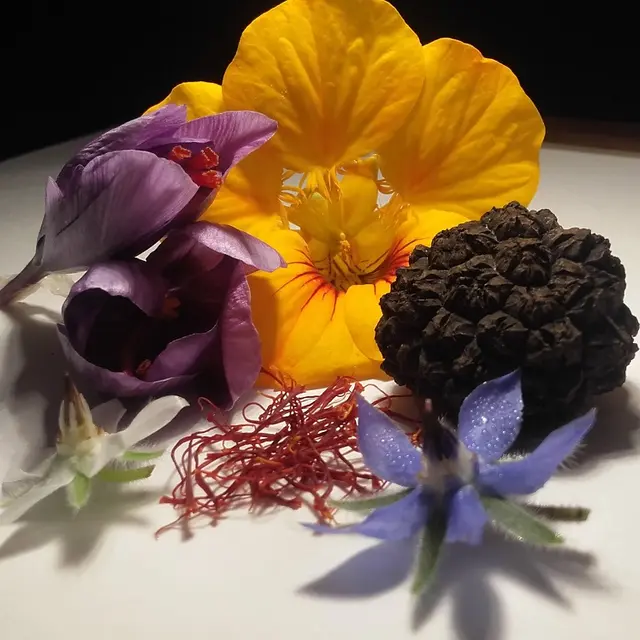 Jardins-gourmands-Tourouge-profil