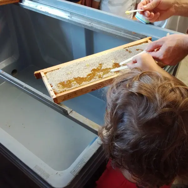 Un rayon de miel