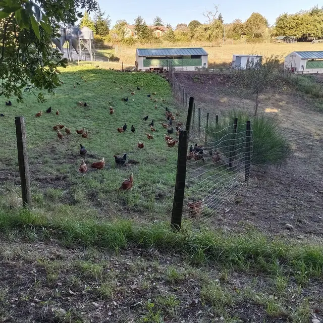 La Ferme d'Enea (1)