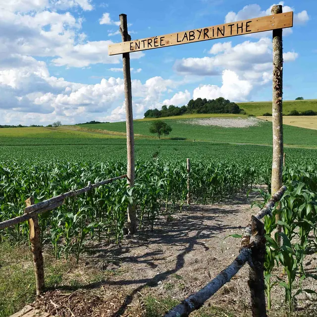 Périgord Inattendu - Labyrinthe de mais à Vendoire