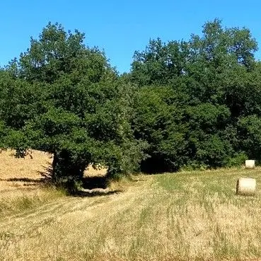 SAINT ANTOINE D'AUBEROCHE-Boucle de Puybertie-Chemin 2