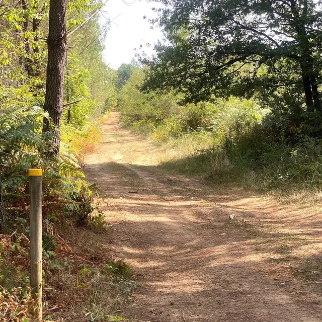 SAINT GERAC-Boucle de la Forêt-Chemin