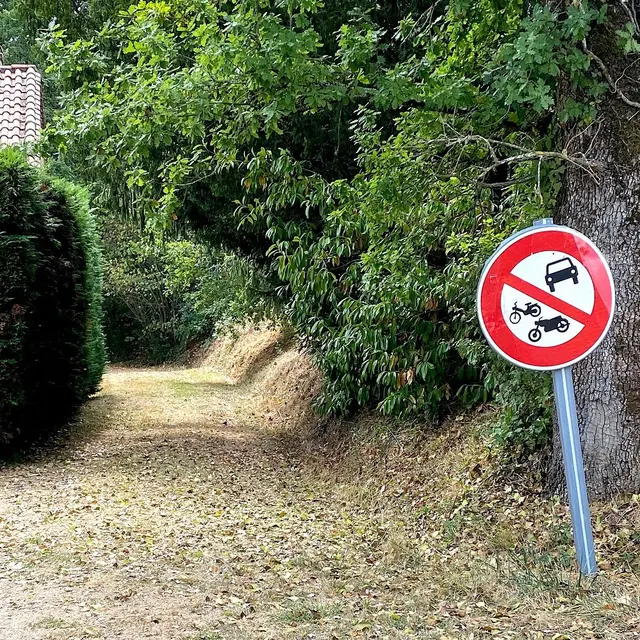 SAINT-PAUL-DE-SERRE-Boucle de Moncouche-Chemin