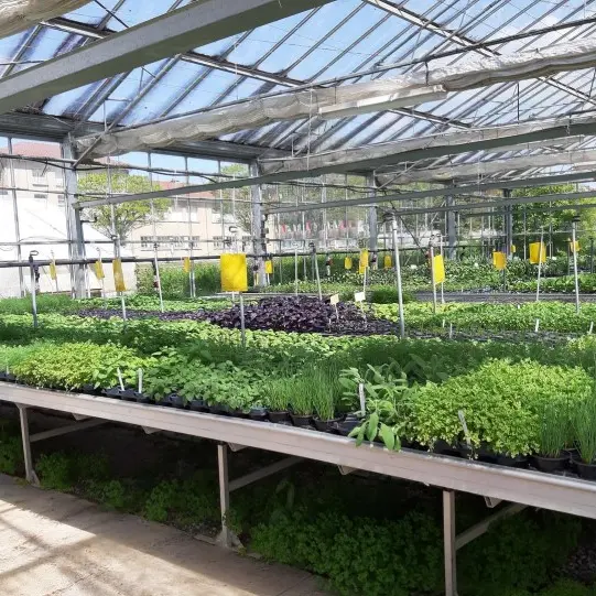 SCEA-Plantzone-2