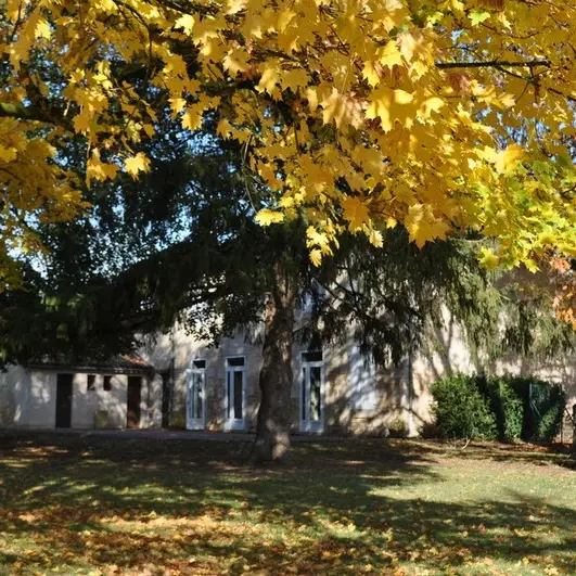 StVincent_com_automne