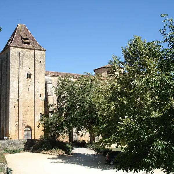 Paunat (1)