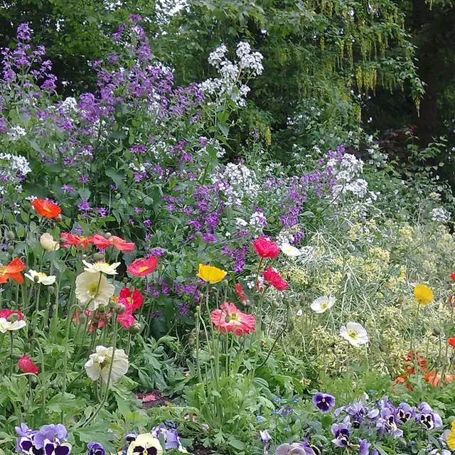 Perigueux-jardin-des-arenes-massif-de-fleurs-office-de-tourisme-de-perigueux-2