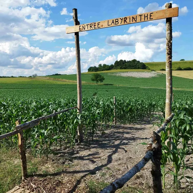 Périgord Inattendu - Labyrinthe de mais à Vendoire