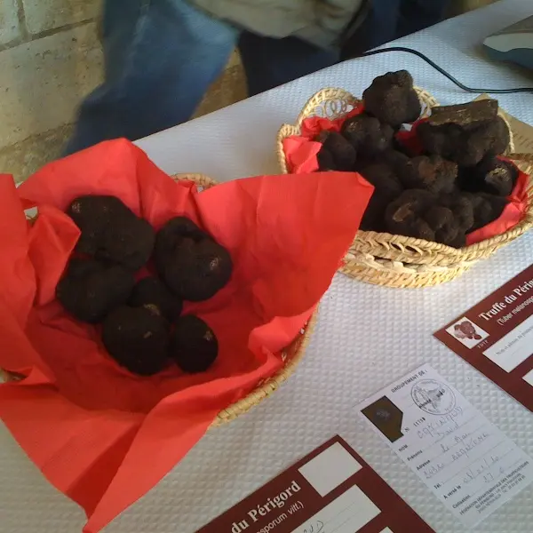 Truffes-du-Perigord