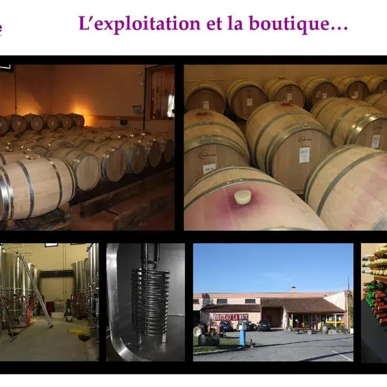 chateau-la-brie (2)