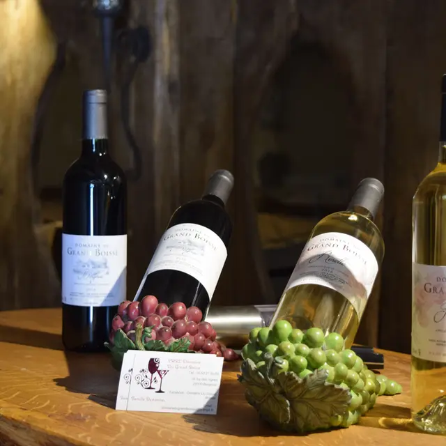 autour_bergerac-domaine_du_grand_boisse (35)-2