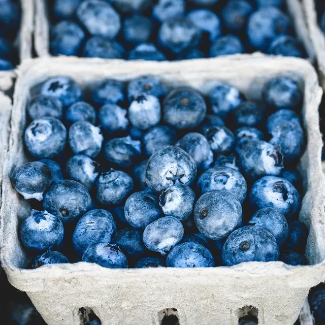 blueberries-1326154_1280