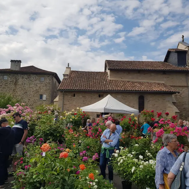 fête rose 3 crédit mairie st yrieix sous aixe