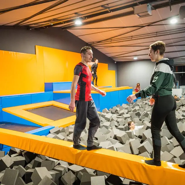 Fly arena