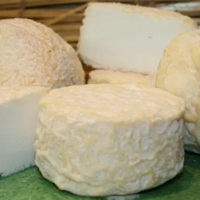 fromage de chevre