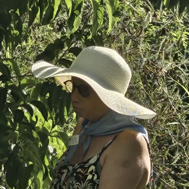 isidra vicente