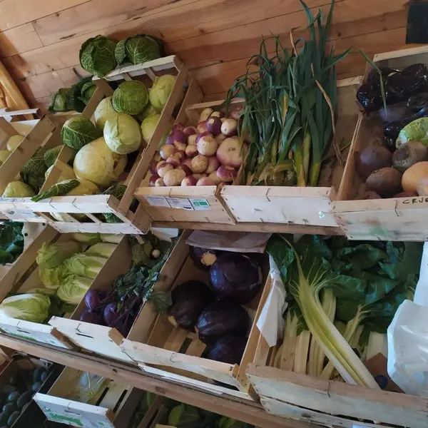 jardin-dognon-legumes