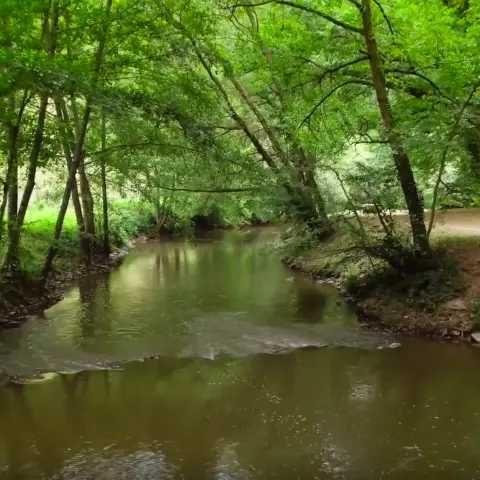 l'isle_capture_film_ccpl