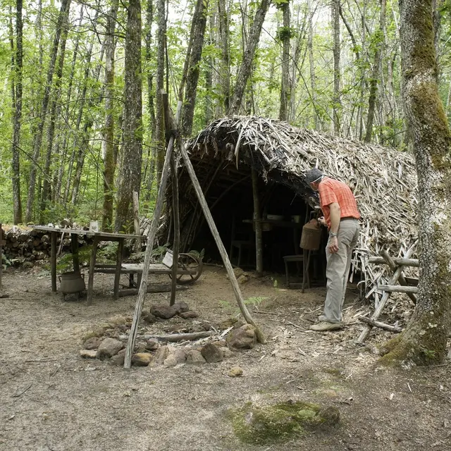 maquis de Durestal