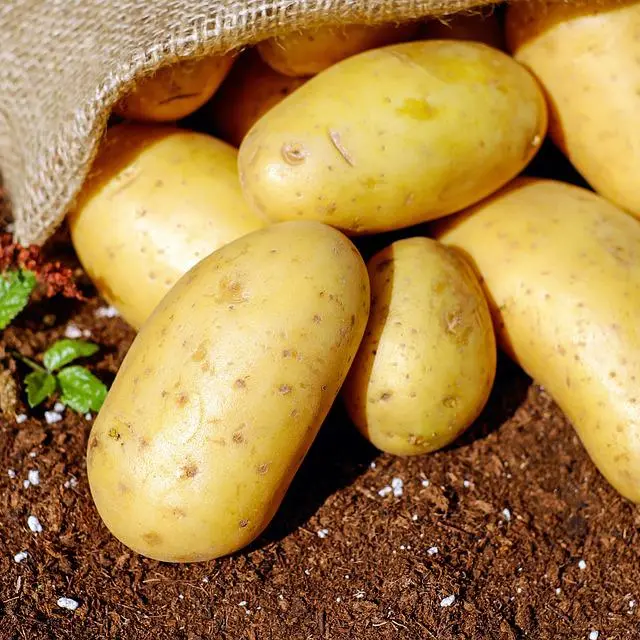 potatoes-1585075_960_720