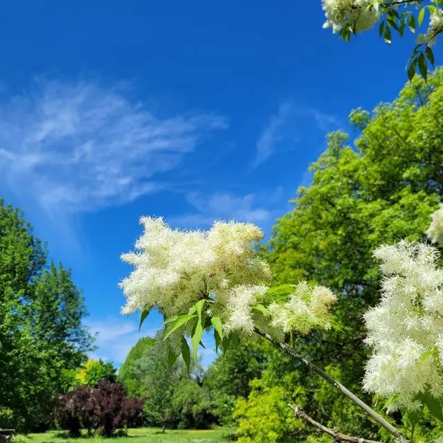 parc-botanique-neuvic