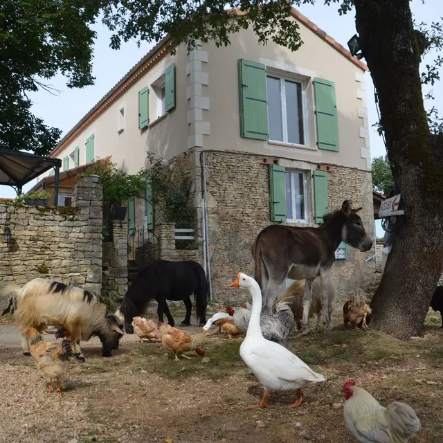 la-ferme-des-vergnes