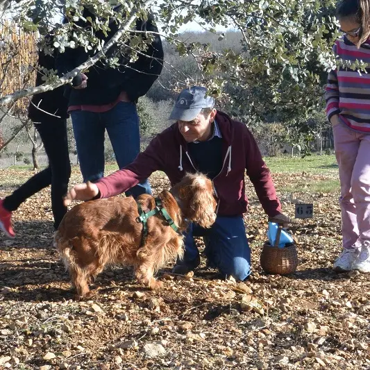 truffiere-garrigue (1)