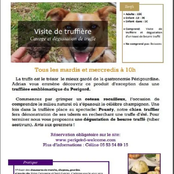 visite-truffiere