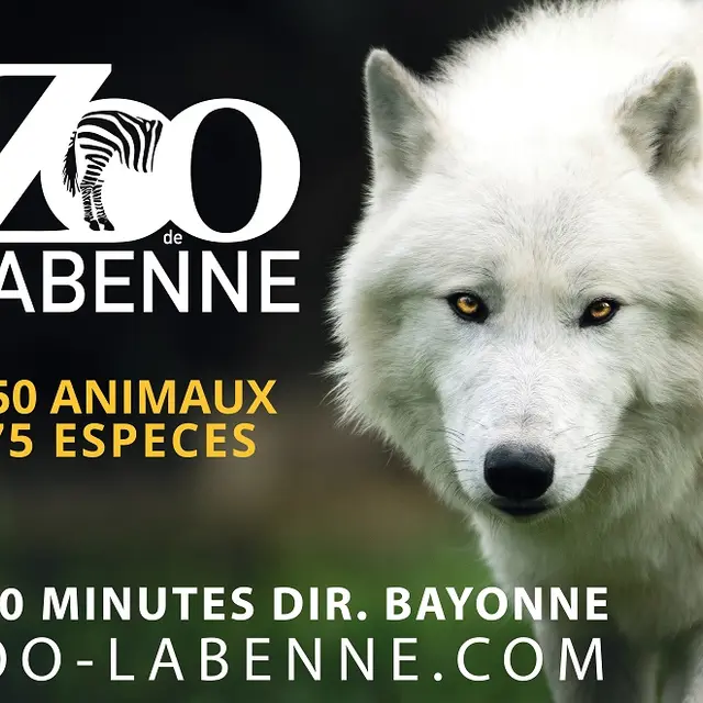 zoo-labenne-landes