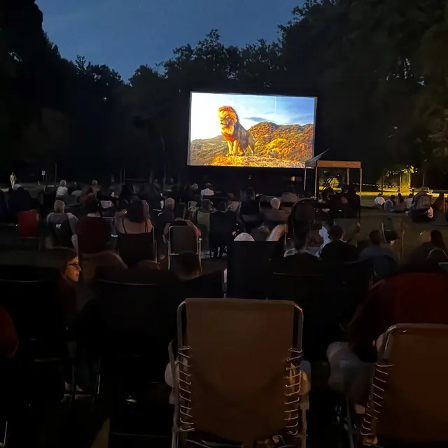 Photo - Cinéma en plein air - Aubigny-sur-Nère