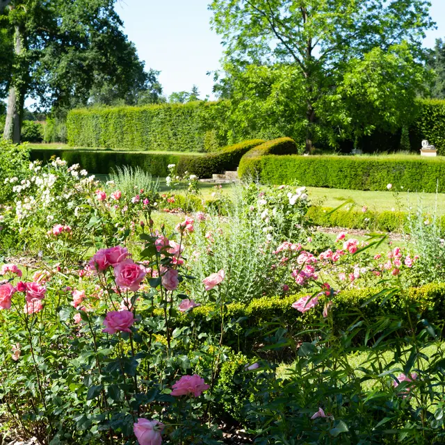 6-Château d’Ainay-le-Vieil Rose garden © Arielle de La Tour d’Auvergne (3)