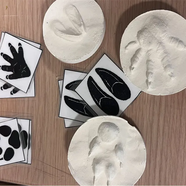 Atelier Bout d'choux Moulage