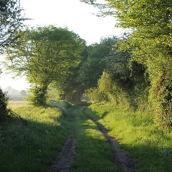 Bocage de noirlac 3 (c) Fernand Deroussen