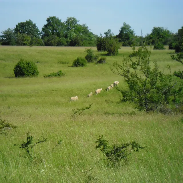 Chaumes Périsse_CD18