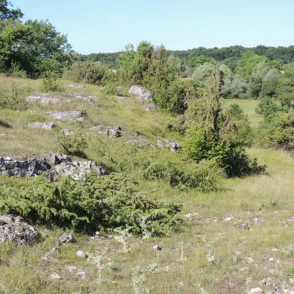Chaumes de la Périsse