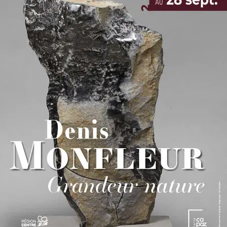 Denis Montfleur
