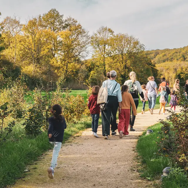 Fête de la nature - Le chant des oiseaux