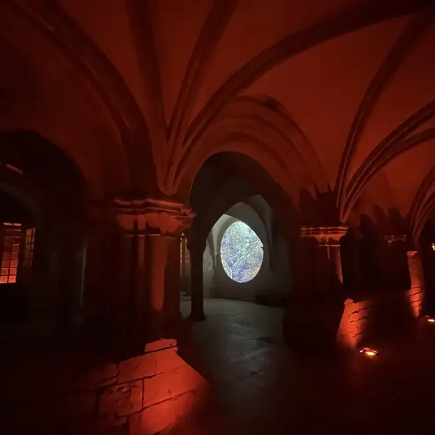Flâneries lumineuses