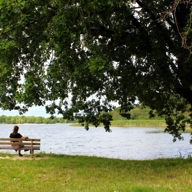 Photo - Etang du Puits