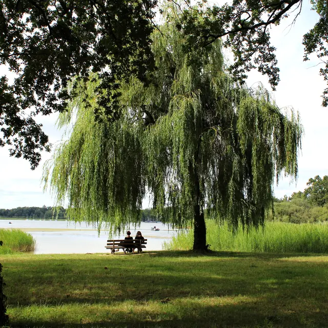 Photo Etang du Puits